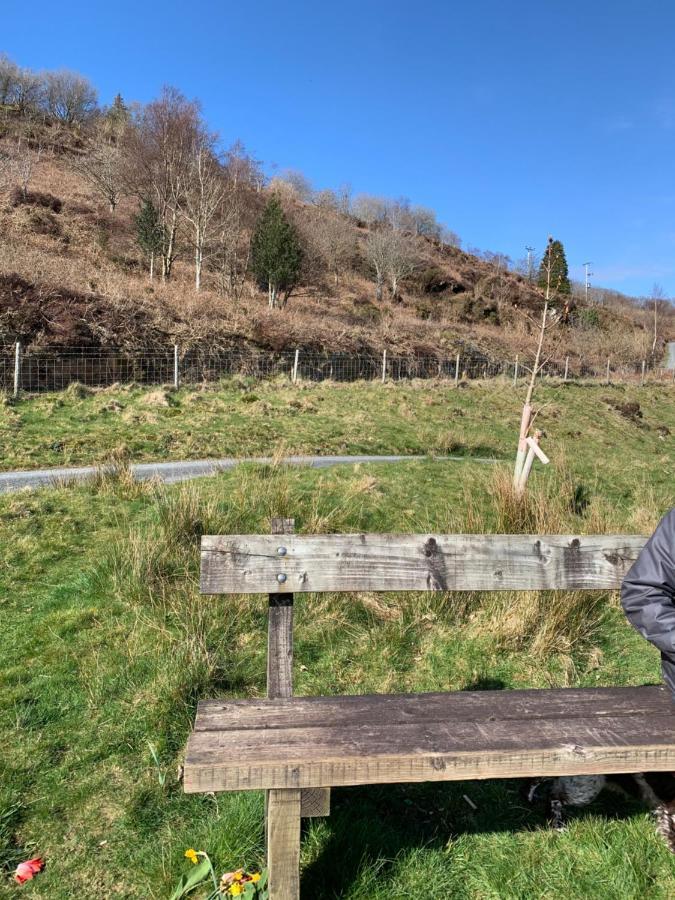 Snowdonia Rock Cottage - Cosy And Pet Friendly Penrhyndeudreath Luaran gambar
