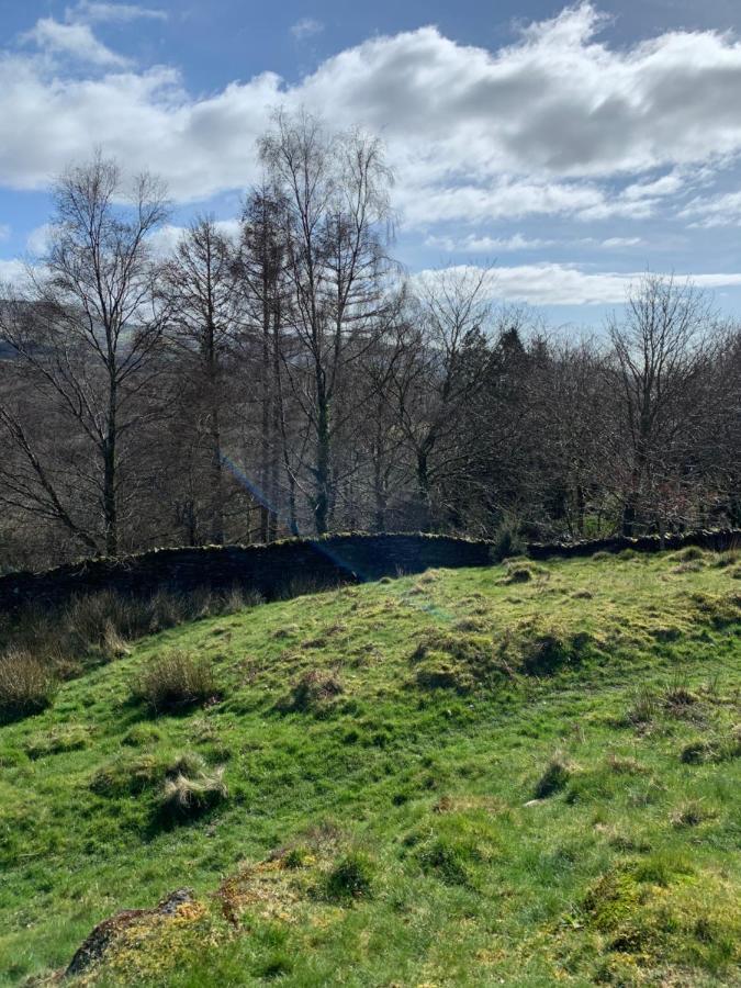 Snowdonia Rock Cottage - Cosy And Pet Friendly Penrhyndeudreath Luaran gambar
